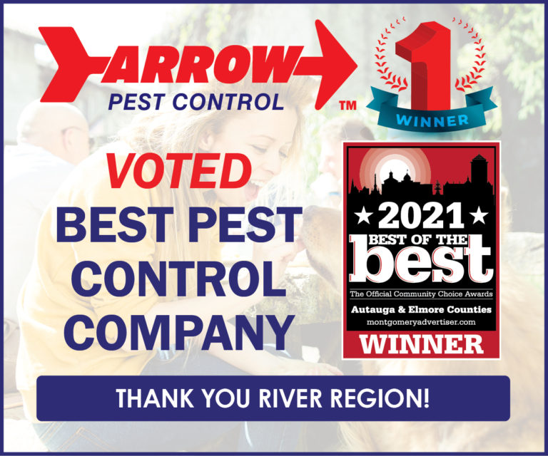 Arrow Pest Control